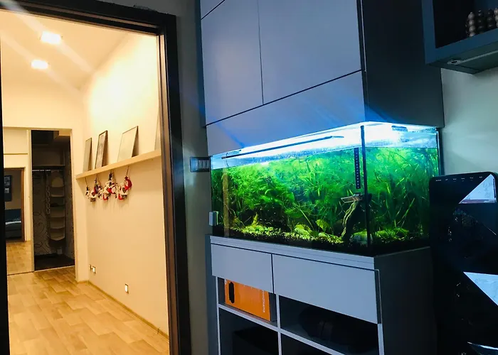 Novy Apartman V Ostrave U Misky S Akvariem A Vyhledem Z Balkonu Na Beskydy