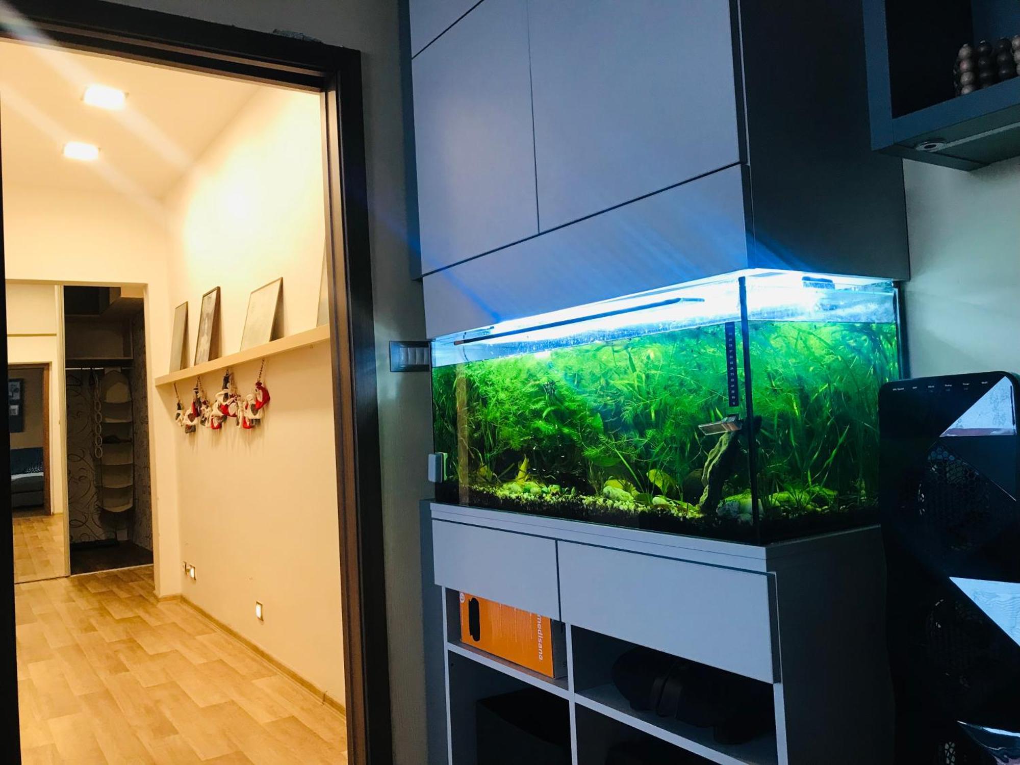 Apartment Novy V Ostrave U Misky S Akvariem A Vyhledem Z Balkonu Na Beskydy
