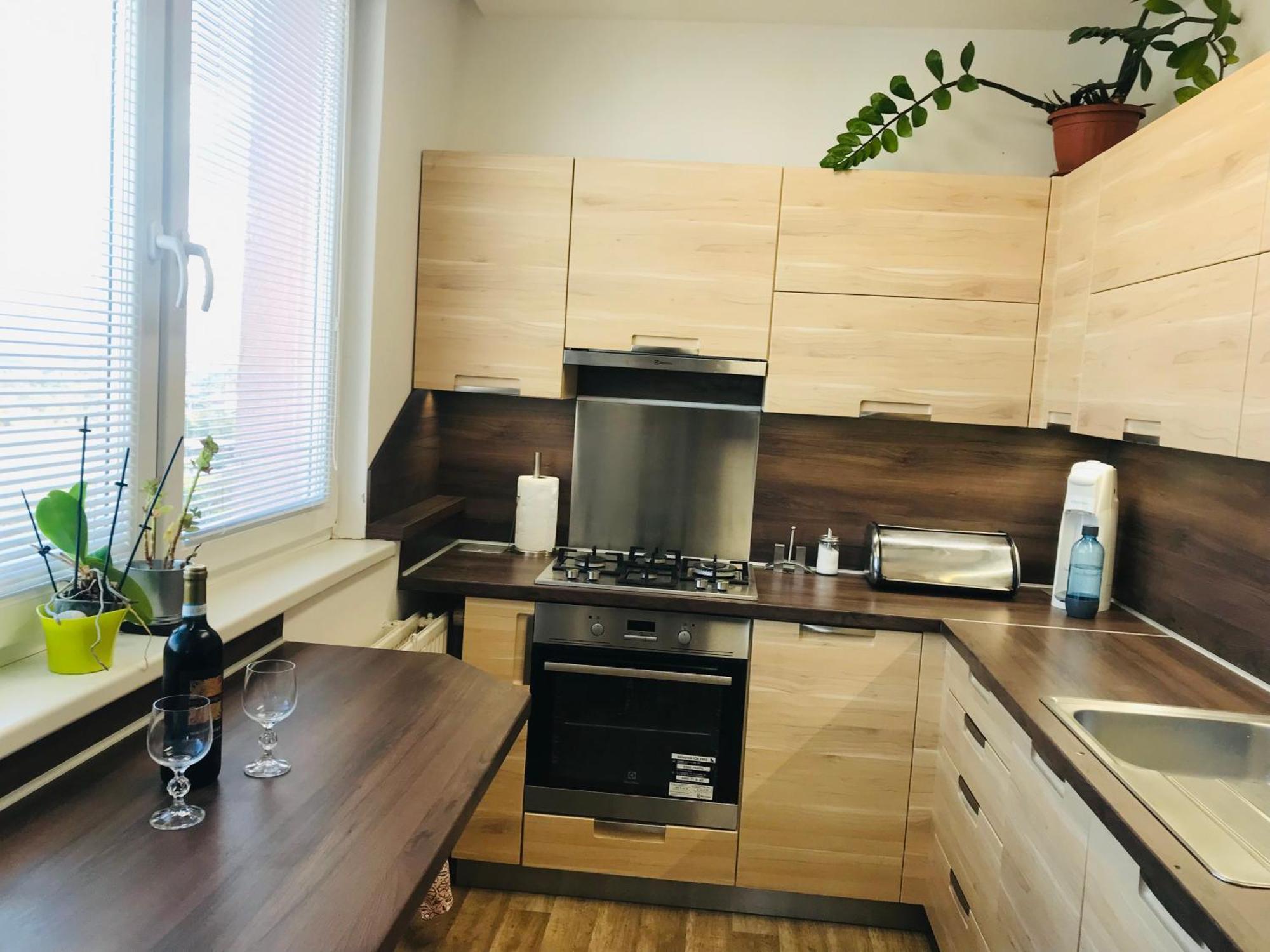 Apartment Novy V Ostrave U Misky S Akvariem A Vyhledem Z Balkonu Na Beskydy *
